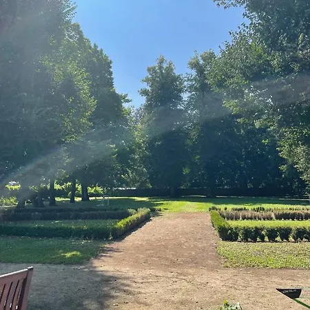 Bed and breakfast Internat Schloss Spiegelberg 3*